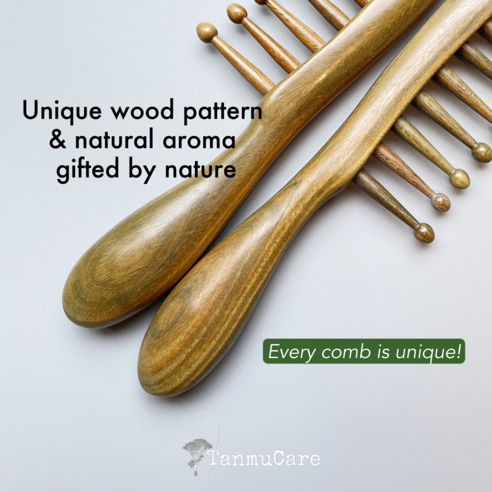 Shop Sandalwood 2-in-1 Massage Hair Comb l TanmuCare