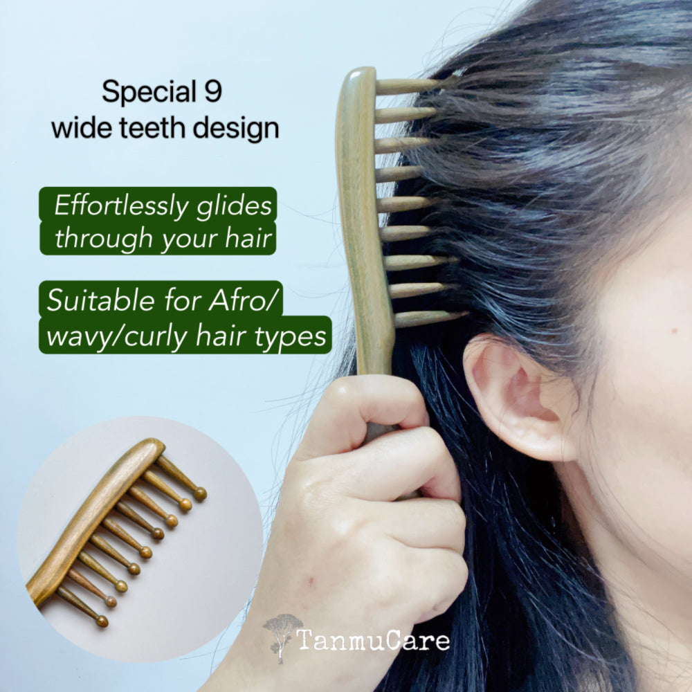 Shop Sandalwood 2-in-1 Massage Hair Comb l TanmuCare