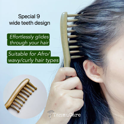 Shop Sandalwood 2-in-1 Massage Hair Comb  l TanmuCare