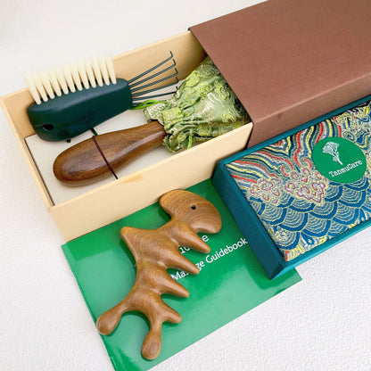 Sandalwood Detangling & Relief Duo: Detangling Hair Brush (L) + Almighty Massage & Gua Sha Tool