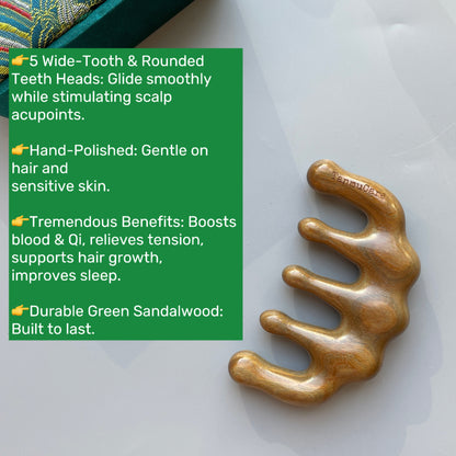 TanmuCare Hair Wellness Starter Set – Your Complete Routine for Healthy, Gorgeous Hair